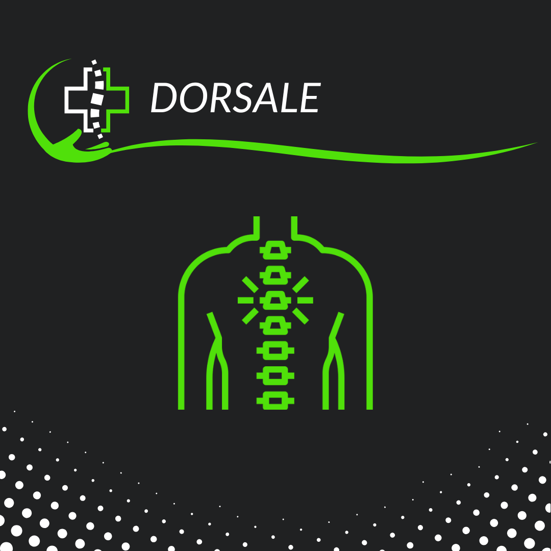 Dorsale