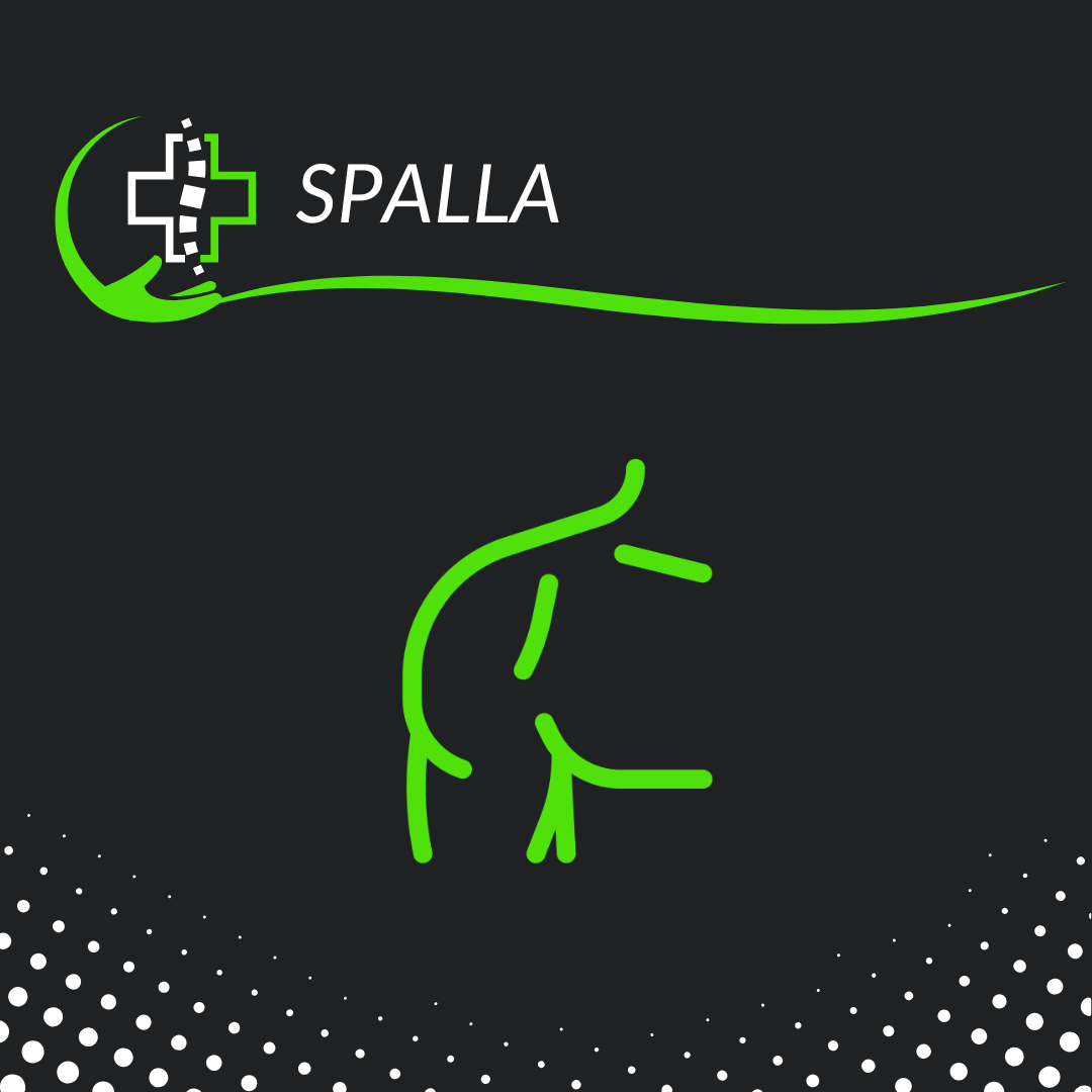 Spalla